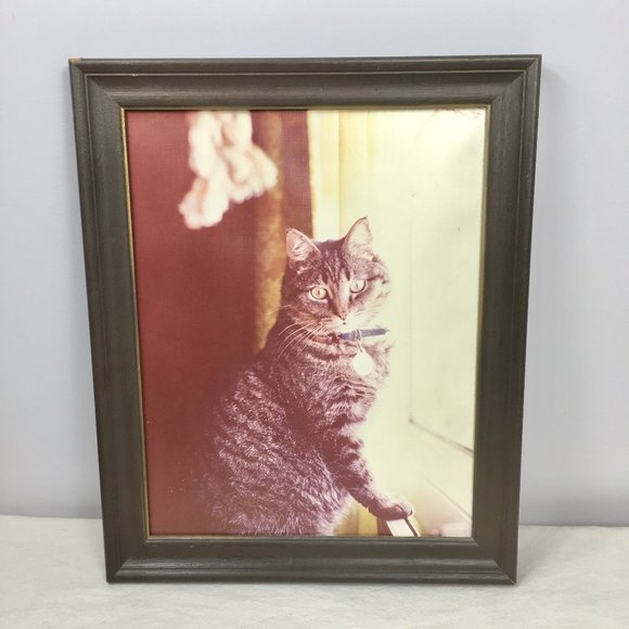 Art Vintage Framed Cat Portrait Tabby Gray Pet Art Funny Cute Boho